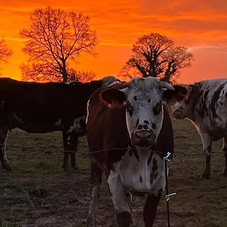 Nyaraló Le Bisson Heussé