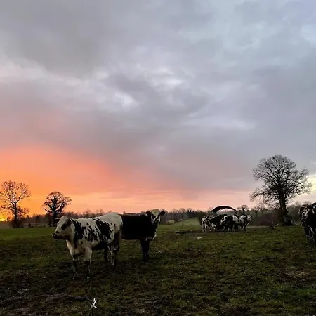 Semesterbostad Le Bisson *