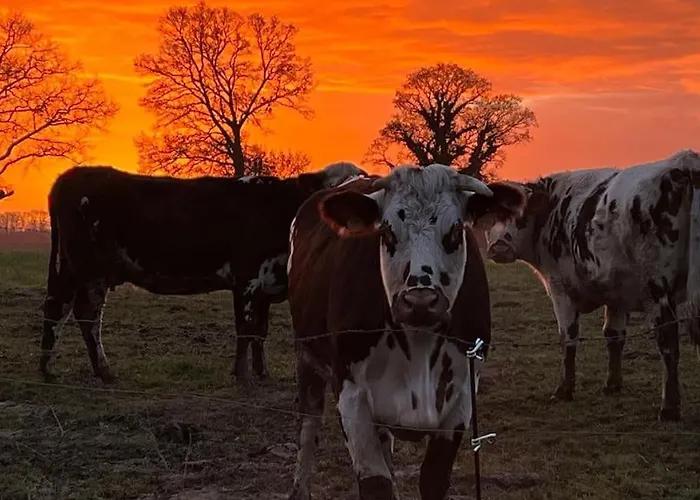 Ferienhaus Le Bisson Heussé