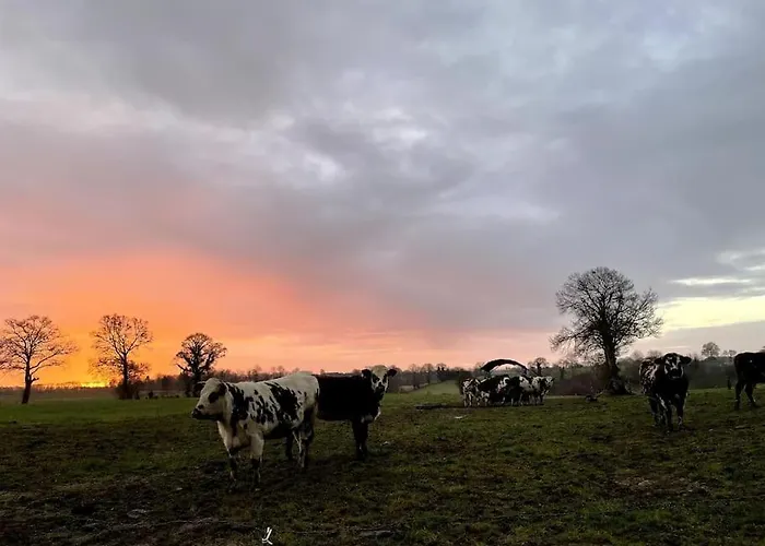 Holiday home Le Bisson *